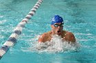 Swimming vs Babson  Wheaton College Swimming vs Babson College. - Photo By: KEITH NORDSTROM : Wheaton, Swimming, Babson